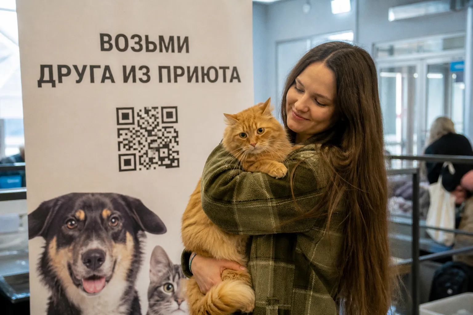 Хвостатый переезд: как волонтеры помогли подопечным приюта обрести новый дом