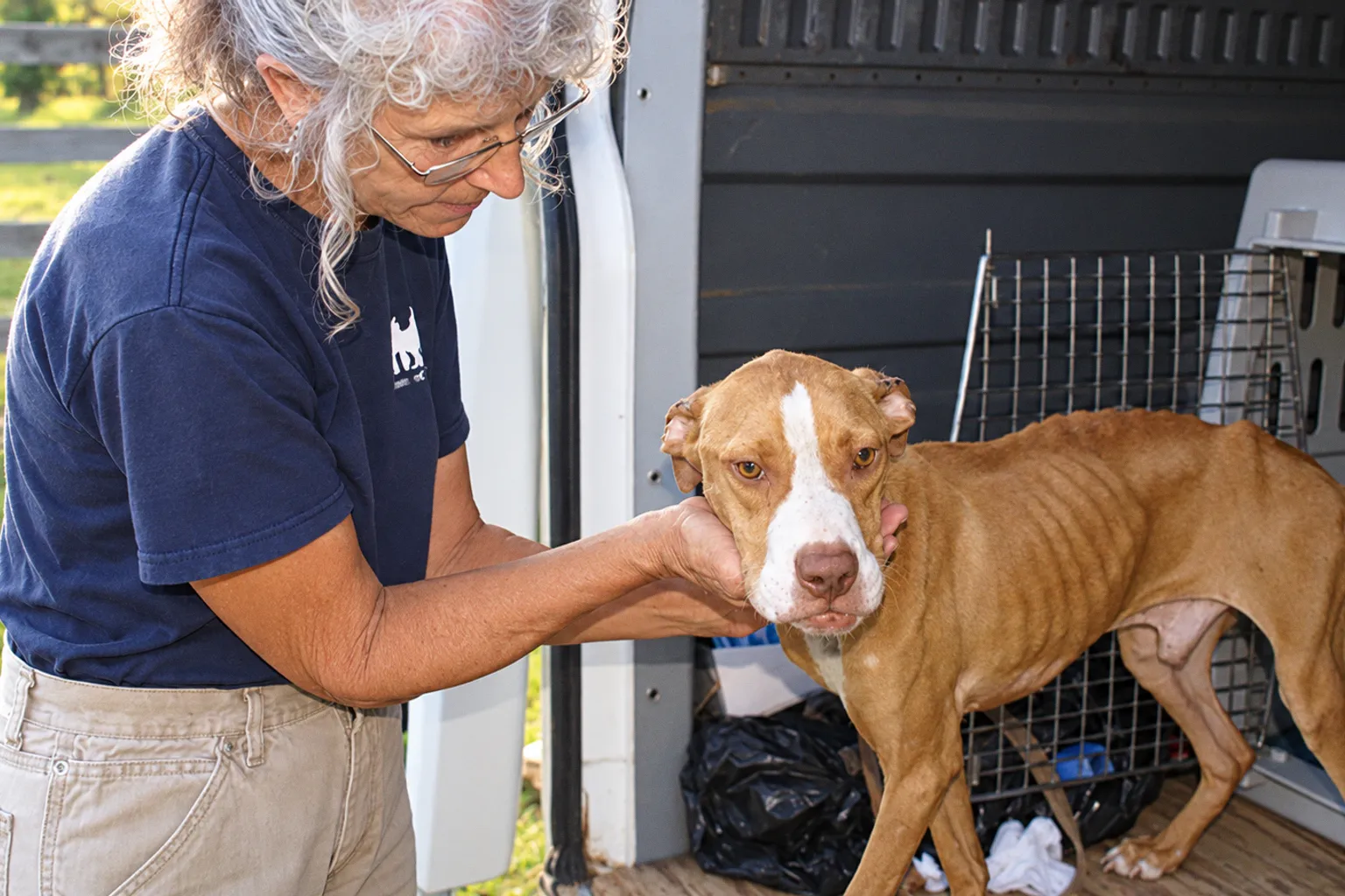 Книга историй спасения животных Hope Animal Sanctuary от In Defense of Animals
